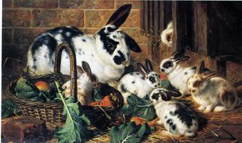 unknow artist Rabbits 198